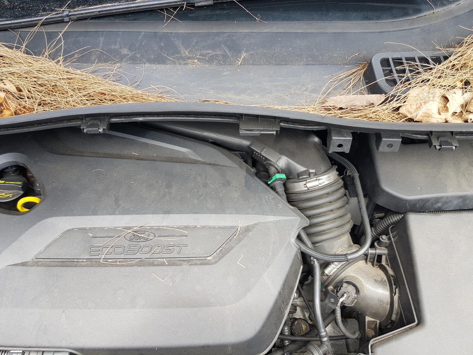 Ford Kuga - TF 2013-Present