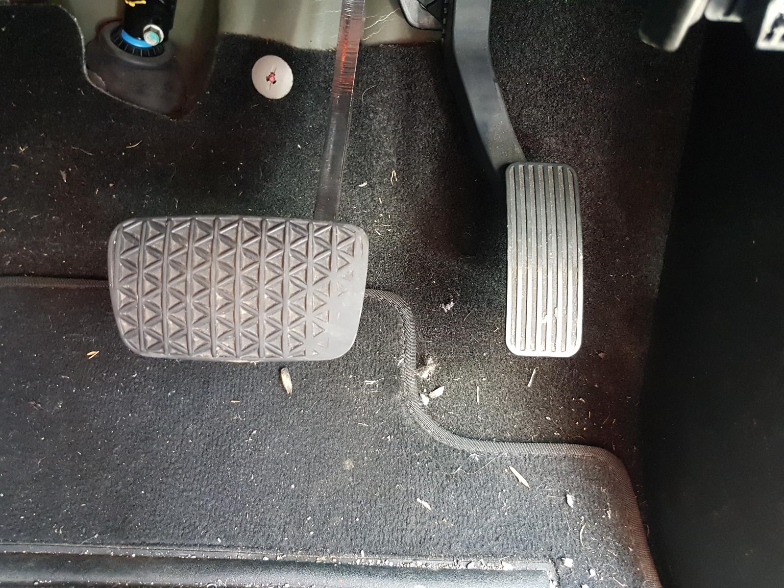 Holden Cruze - 2009-Present