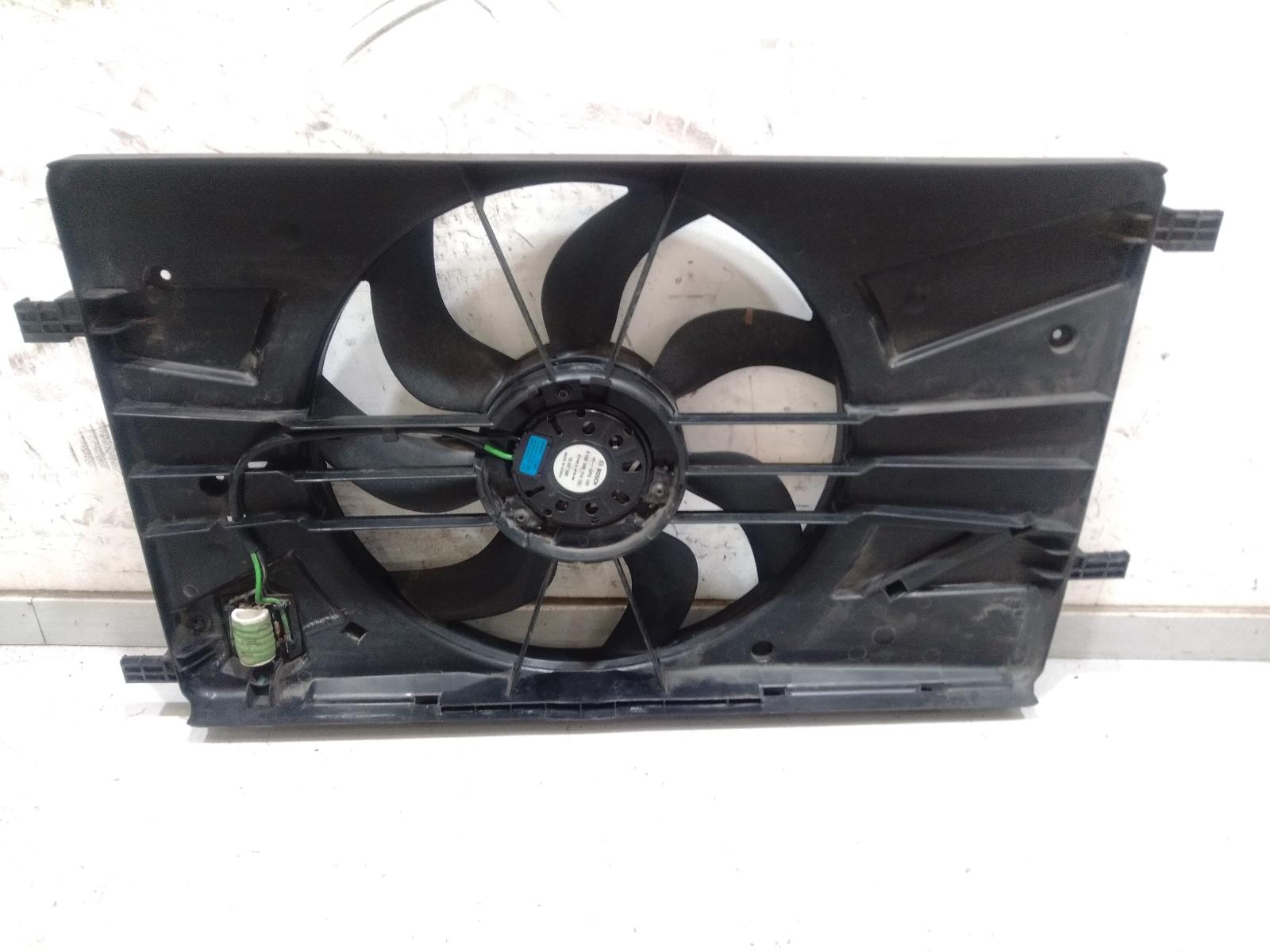 Fan