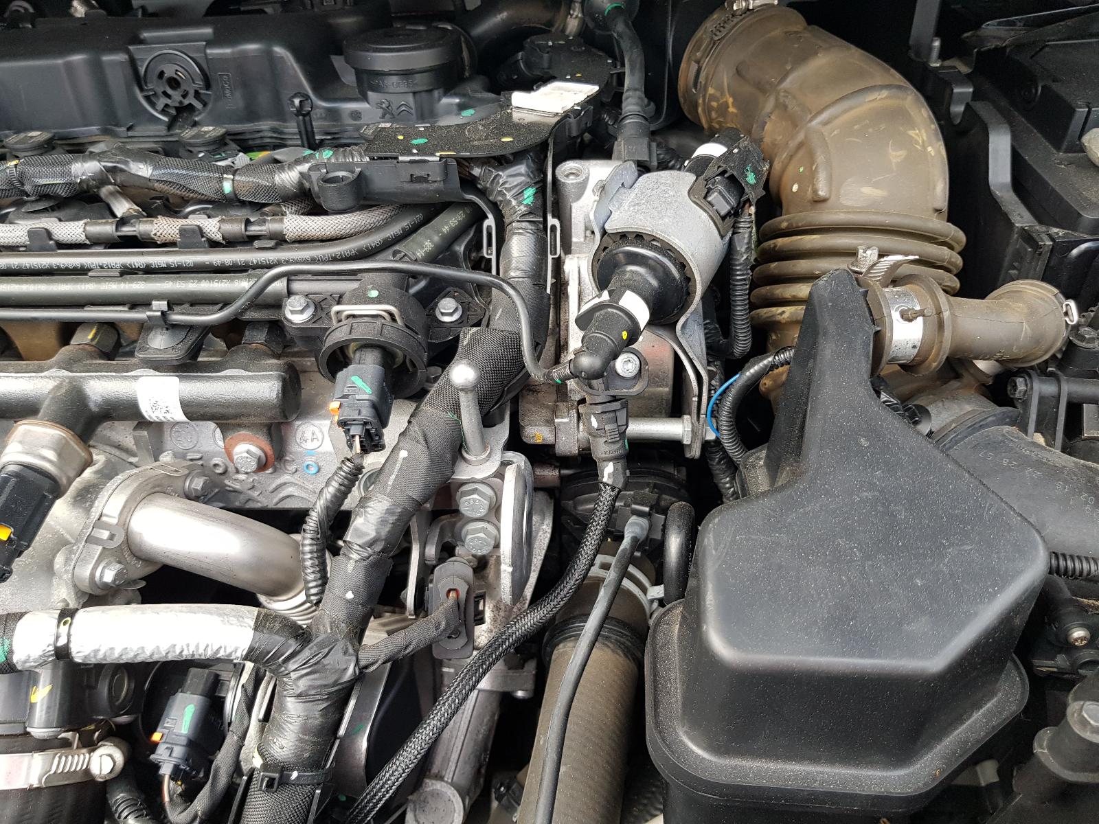 Ford Kuga - TF 2013-Present