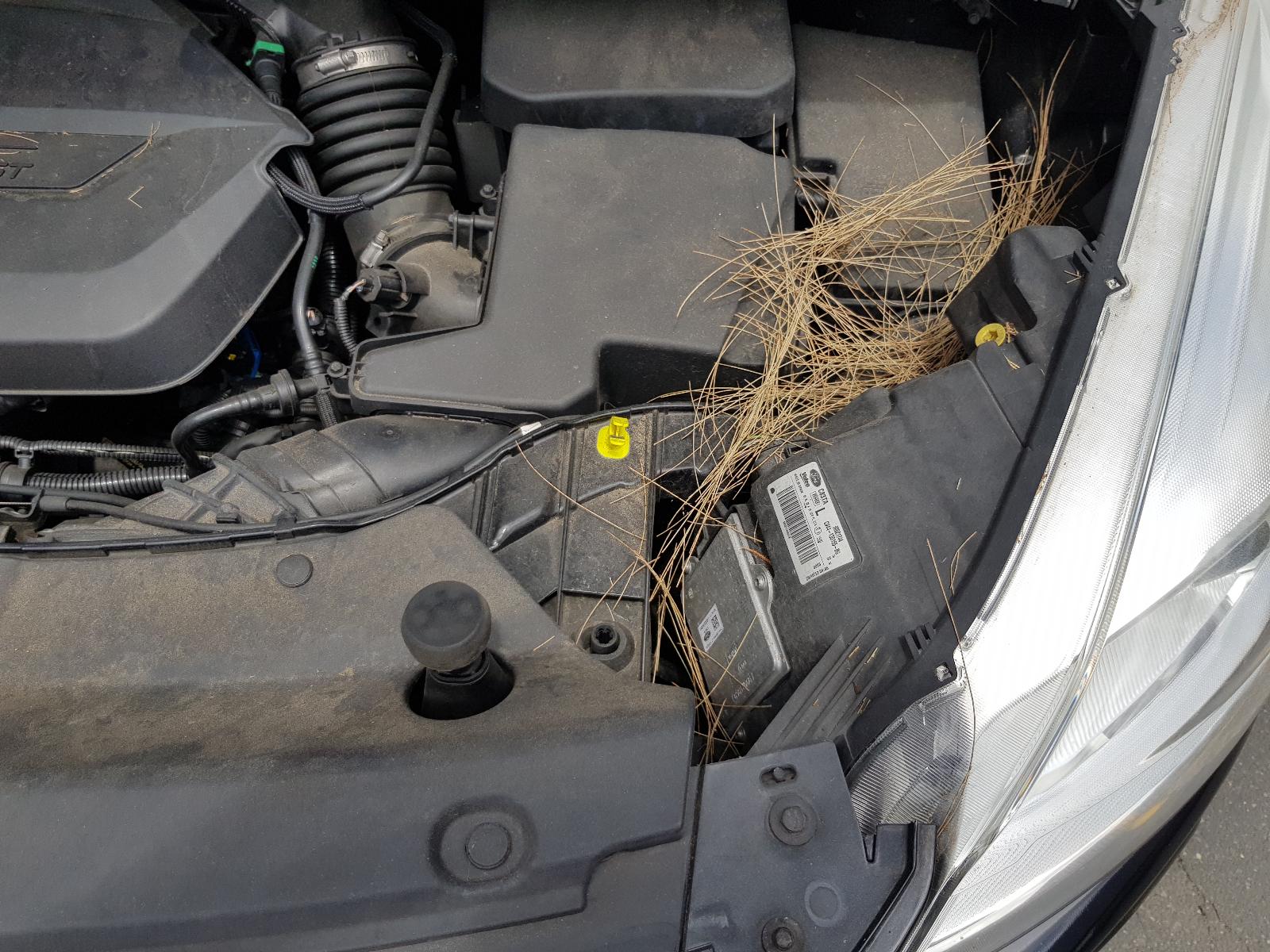 Ford Kuga - TF 2013-Present