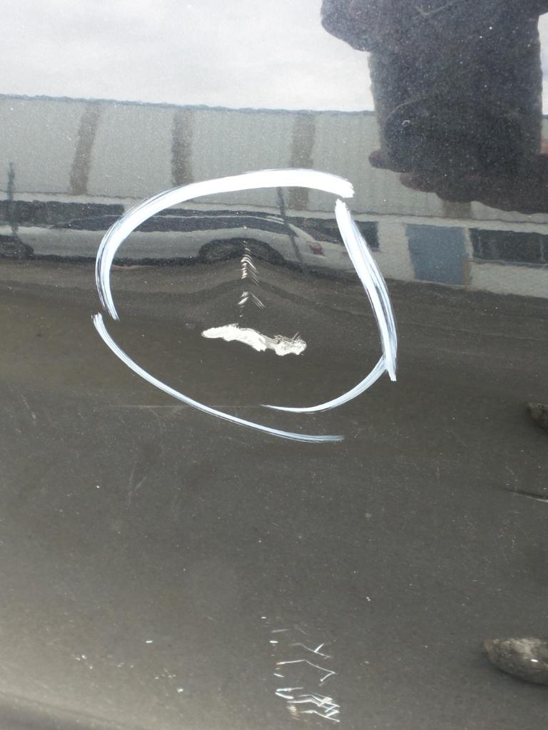 Ford Fiesta - WS 2009-2011