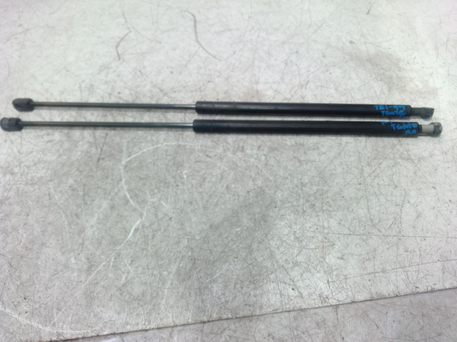 Hatch Strut