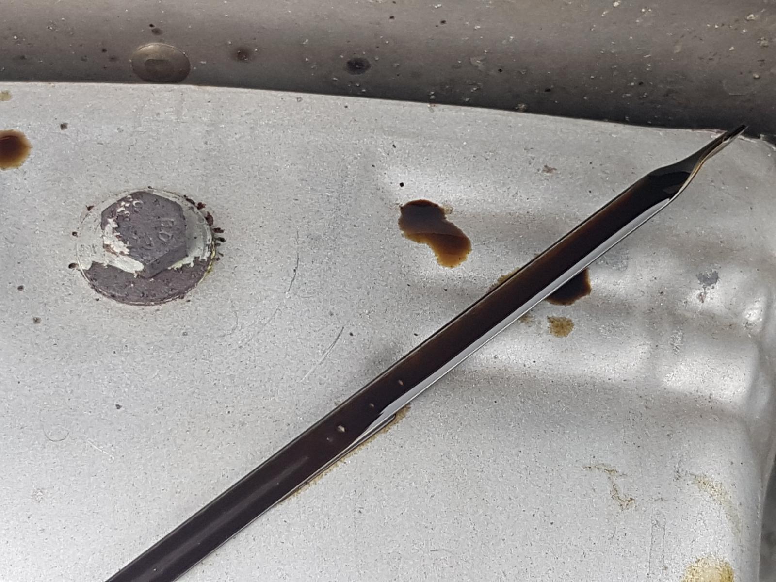 Holden Commodore - Other