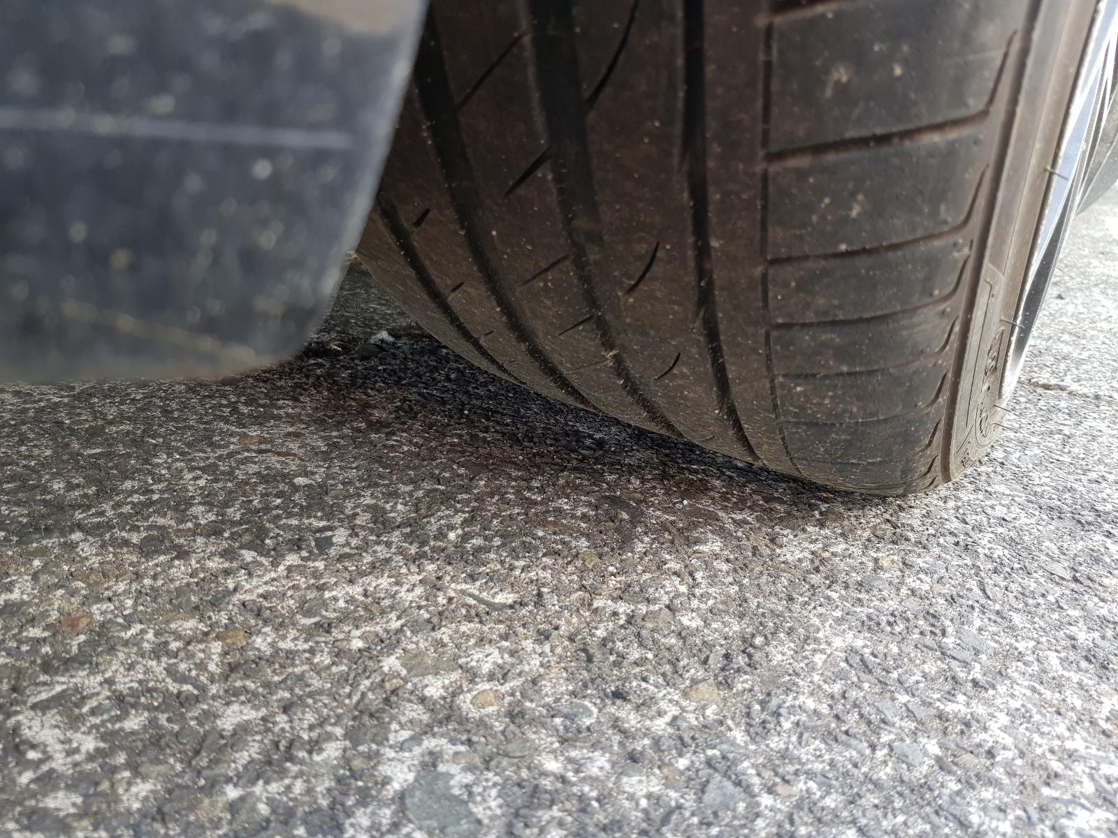 Ford Focus - LT-LV 2008-2011