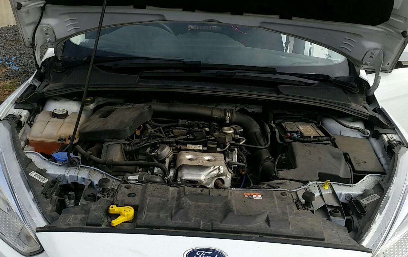 Ford Focus - LZ 2015-2017