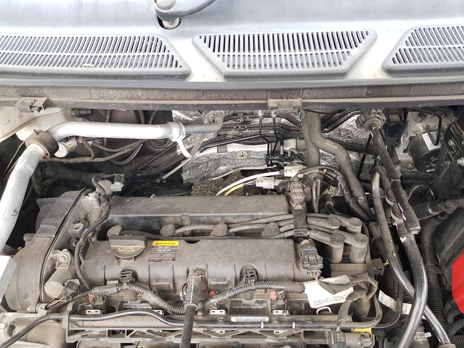 Ford EcoSport - BW 2013-present