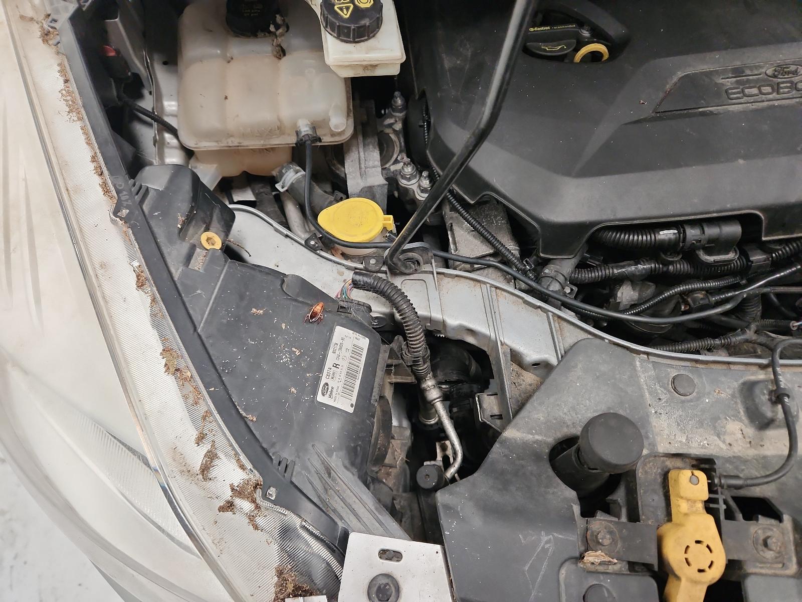 Ford Kuga - TF 2013-Present