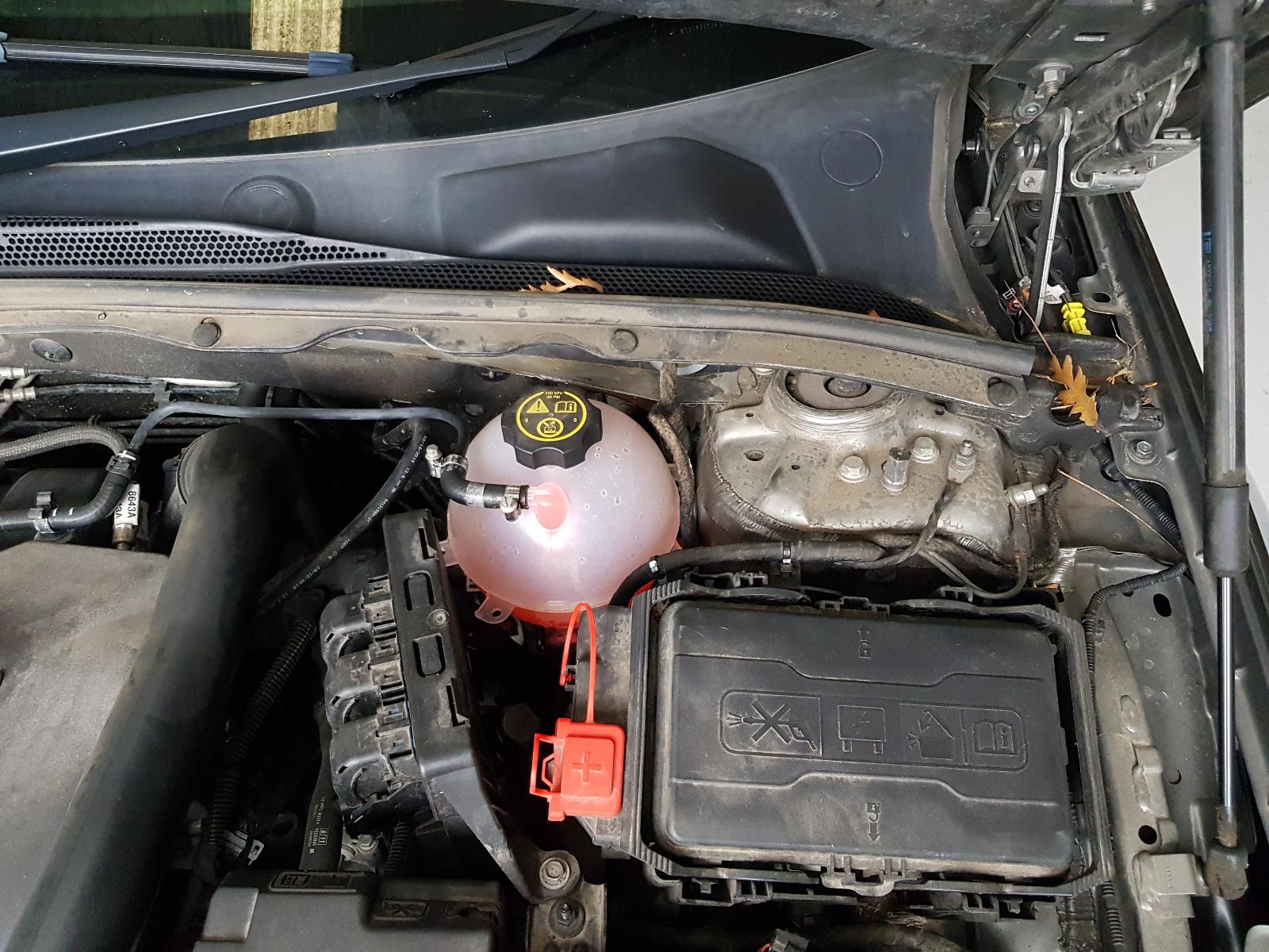 Holden Commodore - Other