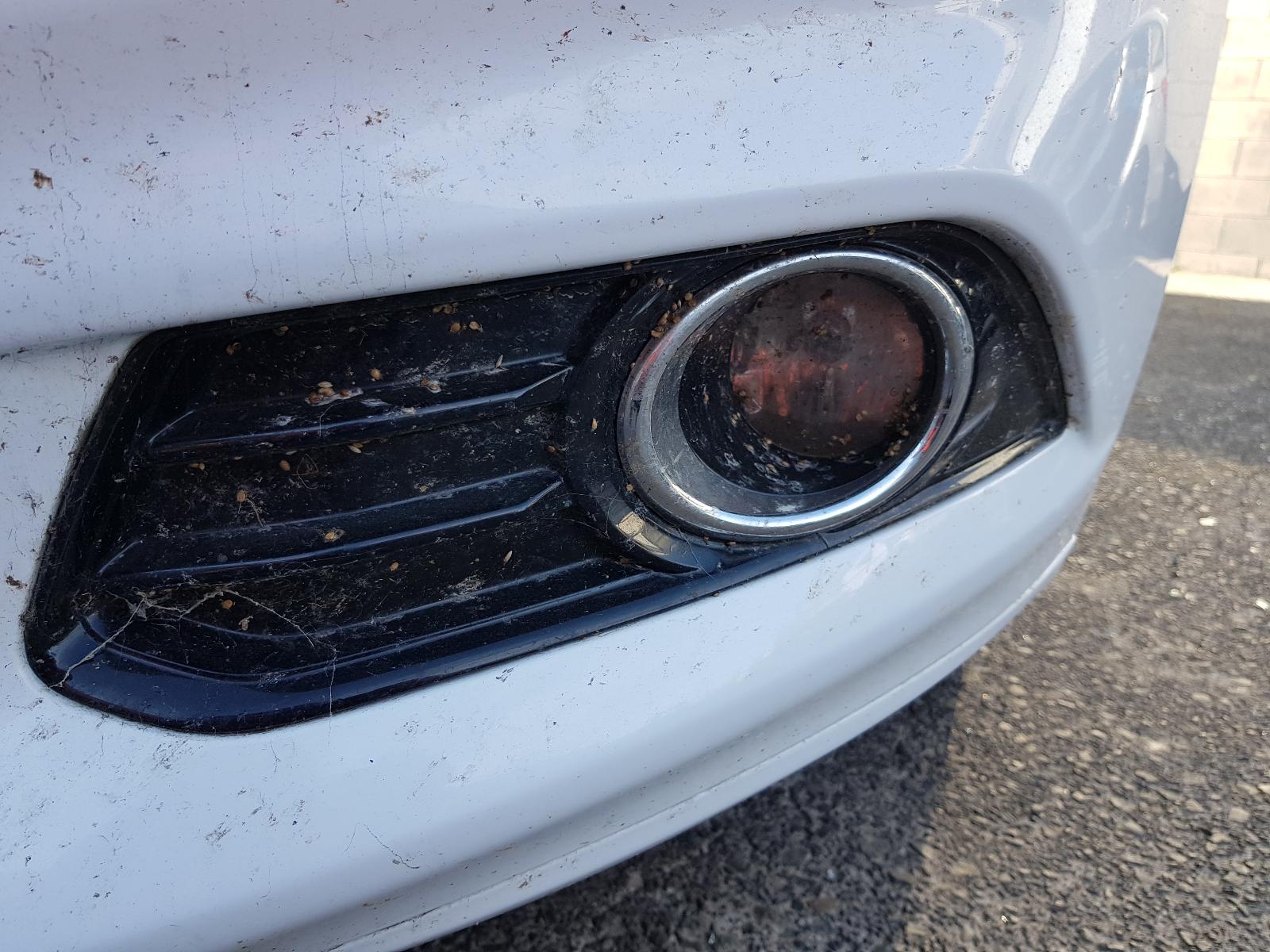 Ford Mondeo - MD 2014-2017