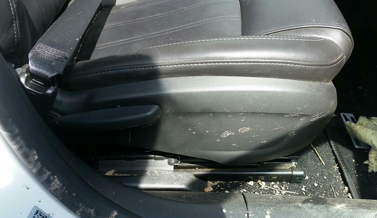 Holden Cruze - 2009-Present