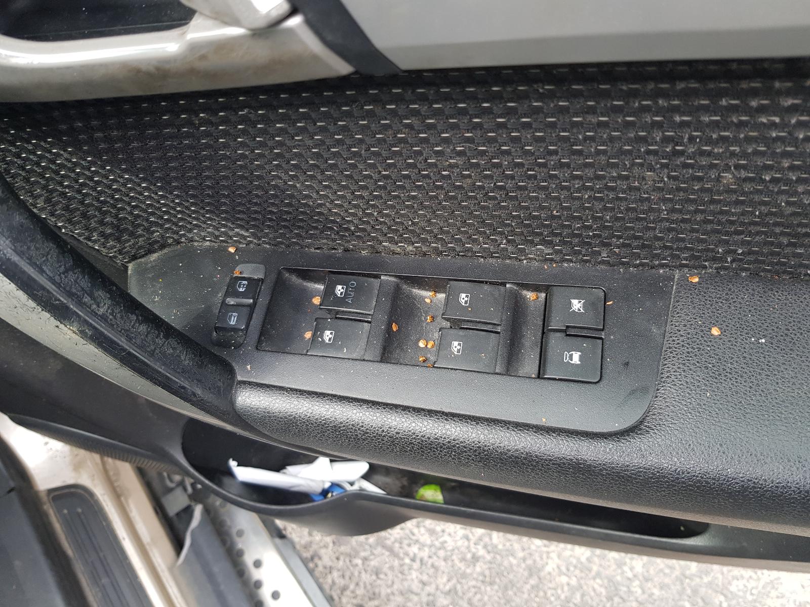 Holden Captiva - Captiva 7 2011-Present