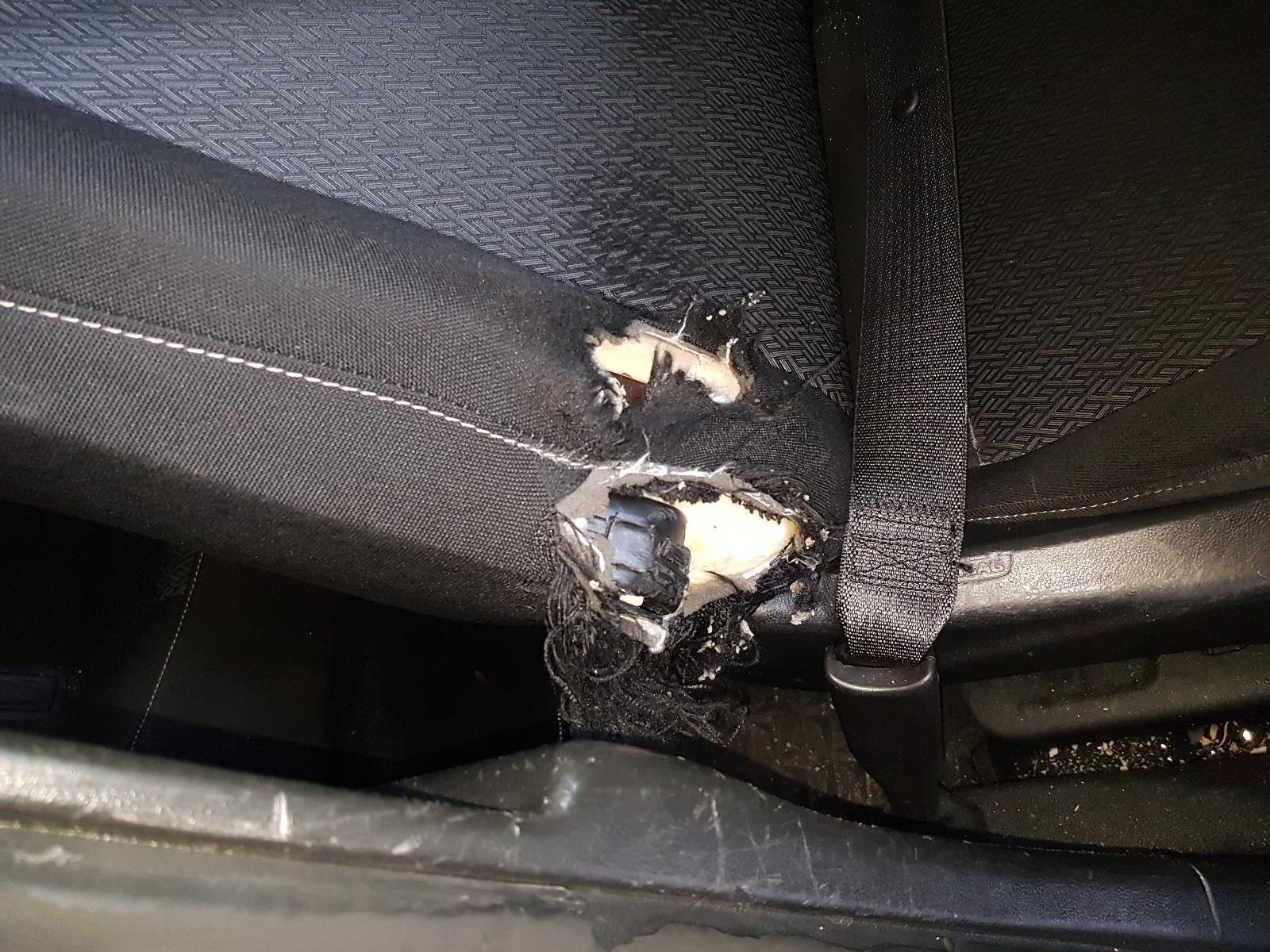 Holden Commodore - Other