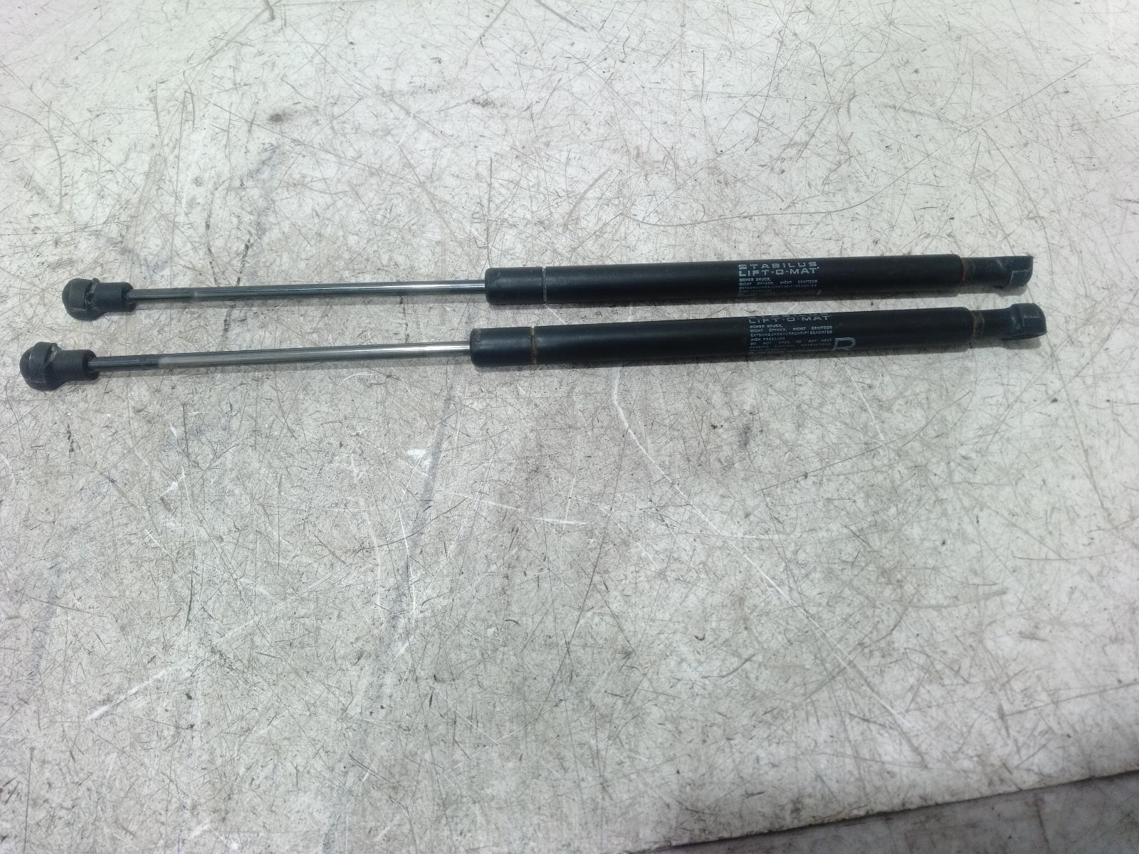 Hatch Strut