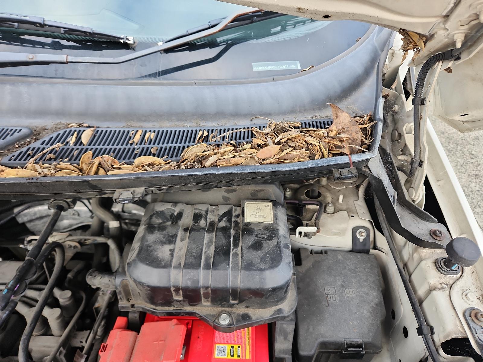 Ford EcoSport - BW 2013-present