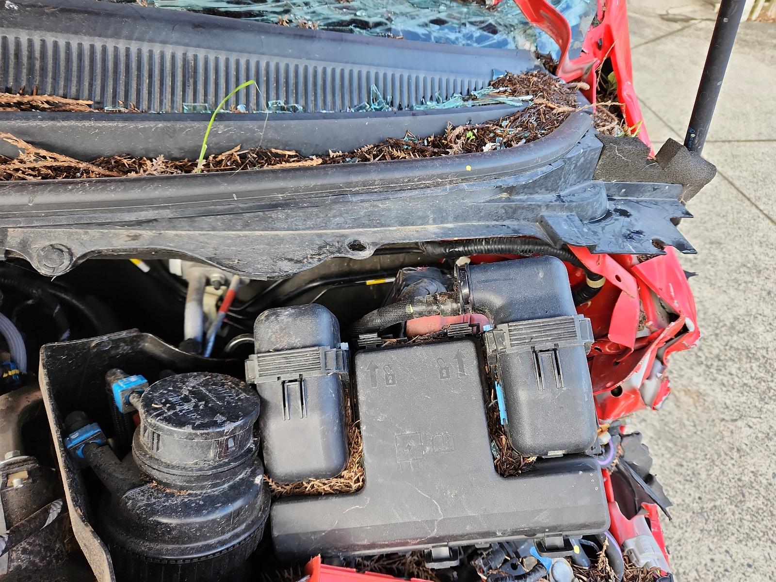 Ford Ranger - PX/PX2 2011-2017