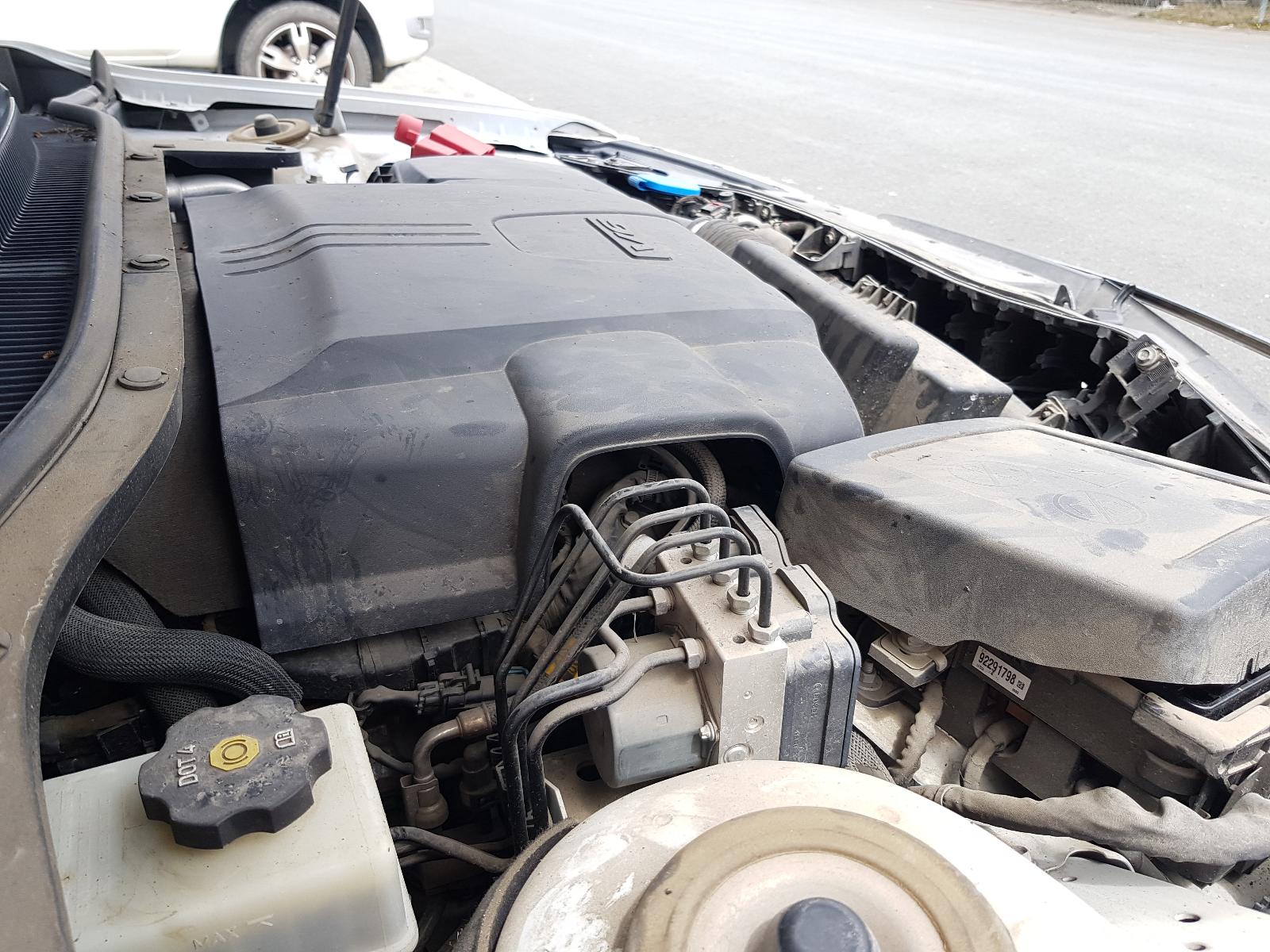 Holden Commodore - VF 2013-Present