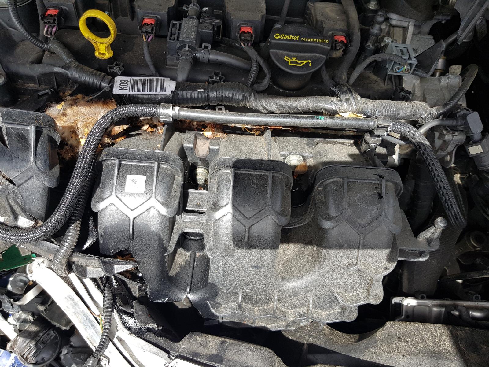 Ford Focus - LZ 2015-2017