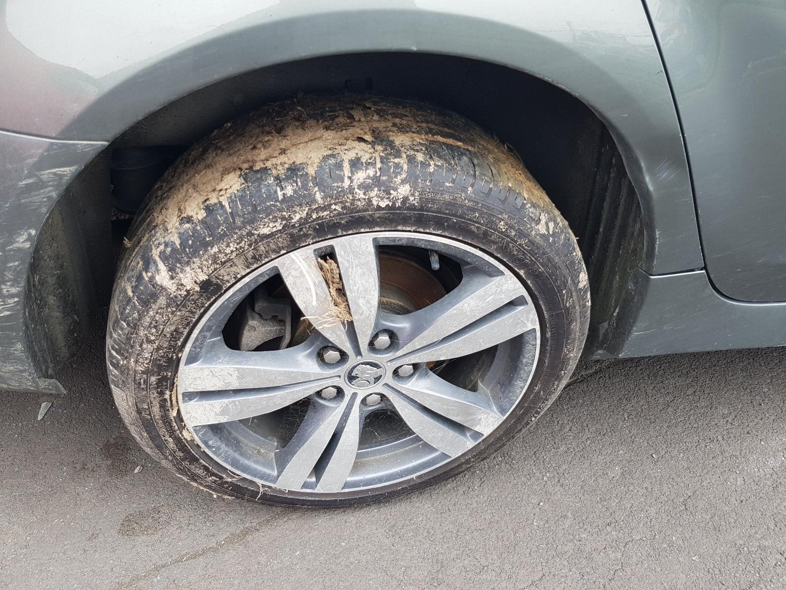 Holden Commodore - VF 2013-Present