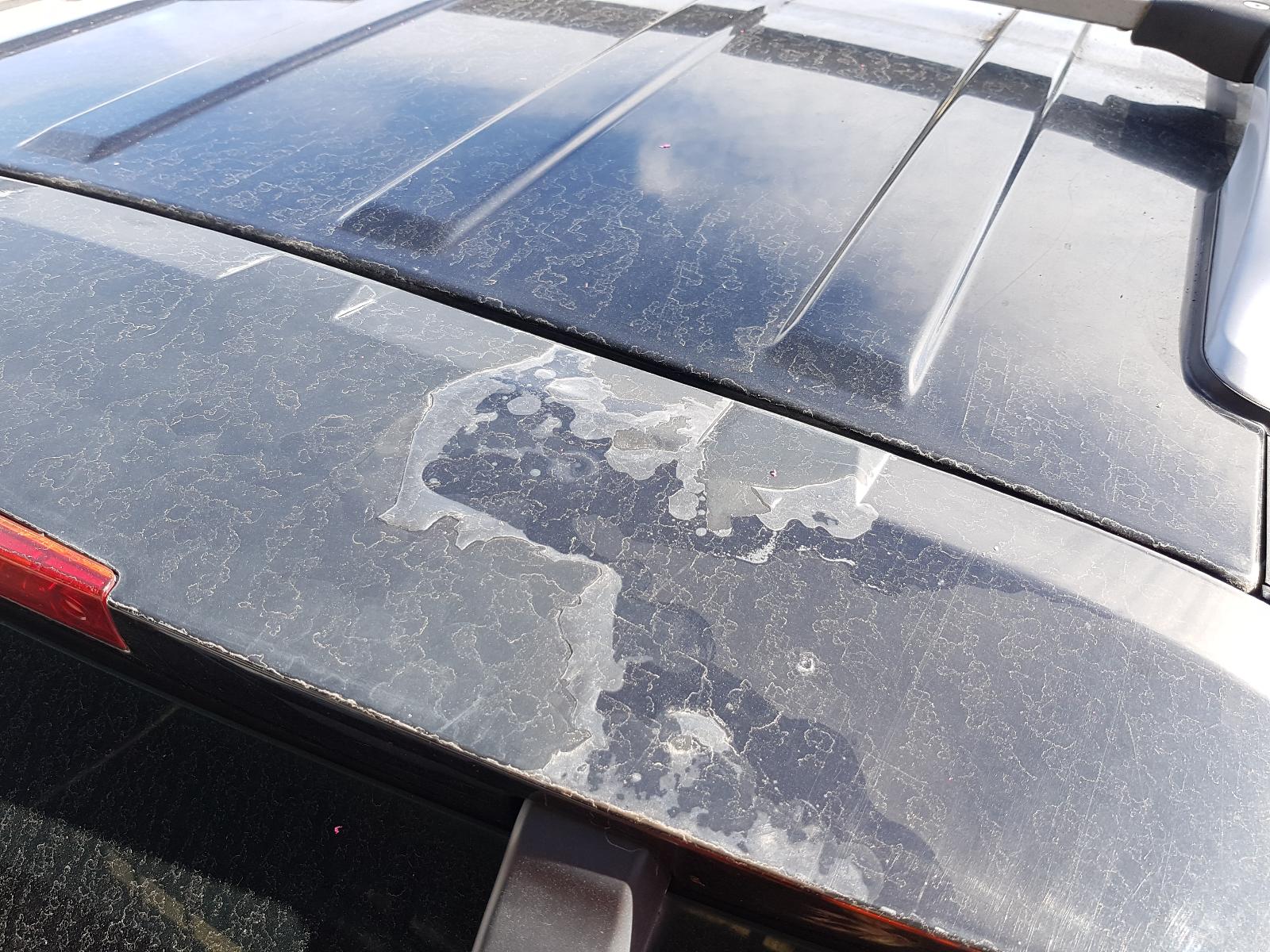 Holden Captiva - Captiva 7 2006-2011