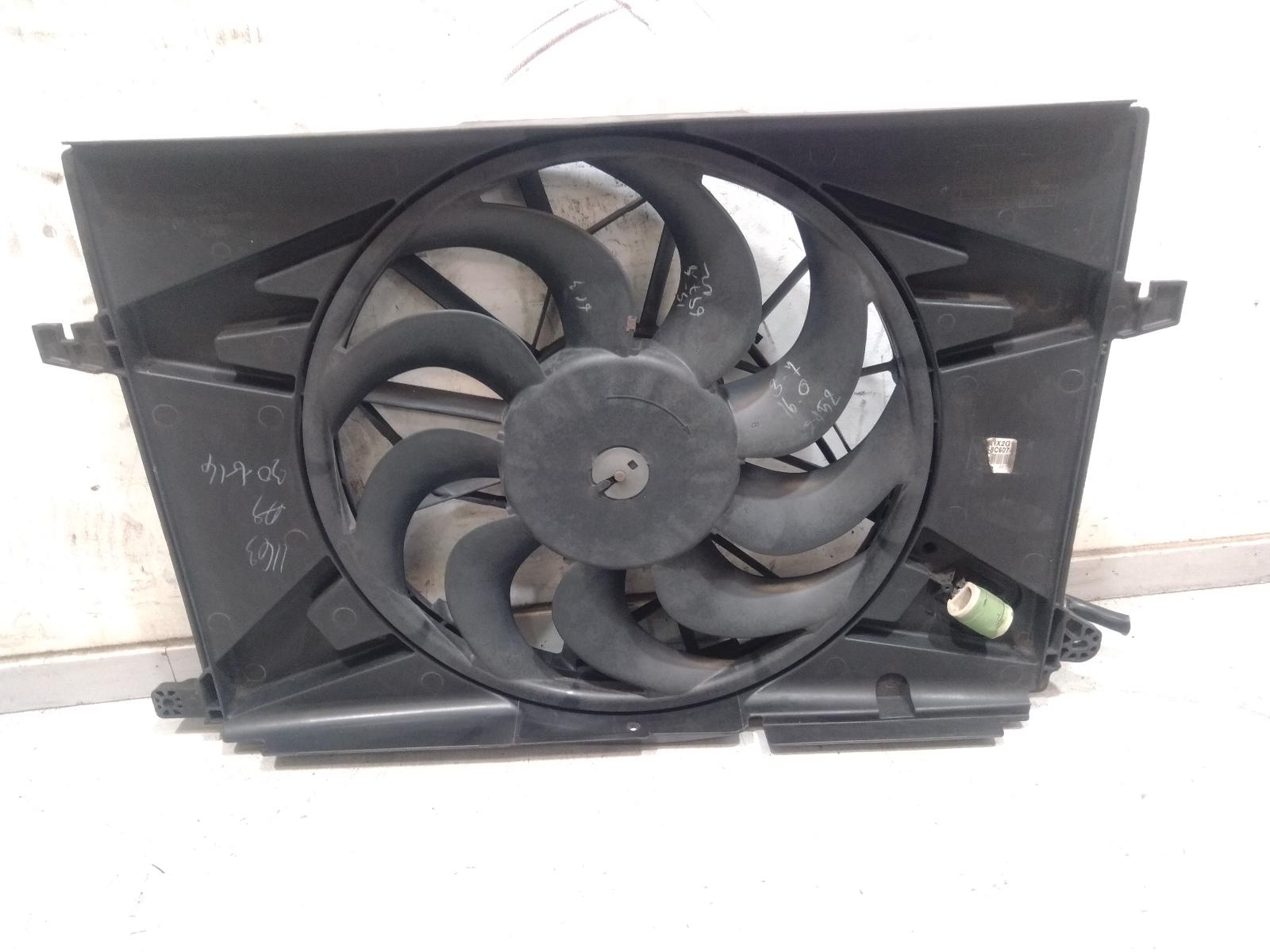 Fan