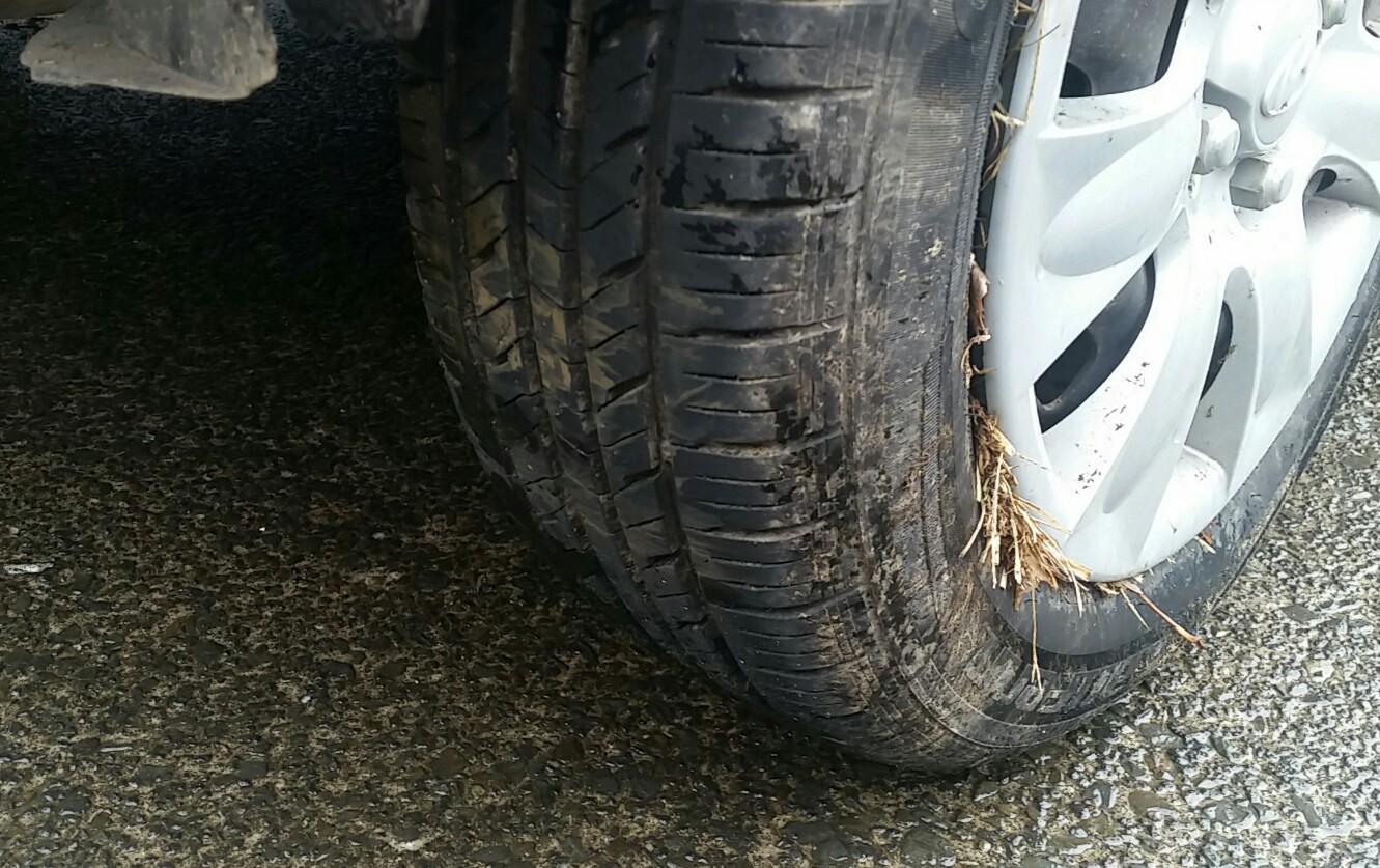 Hyundai Getz - BT51 2002-2010