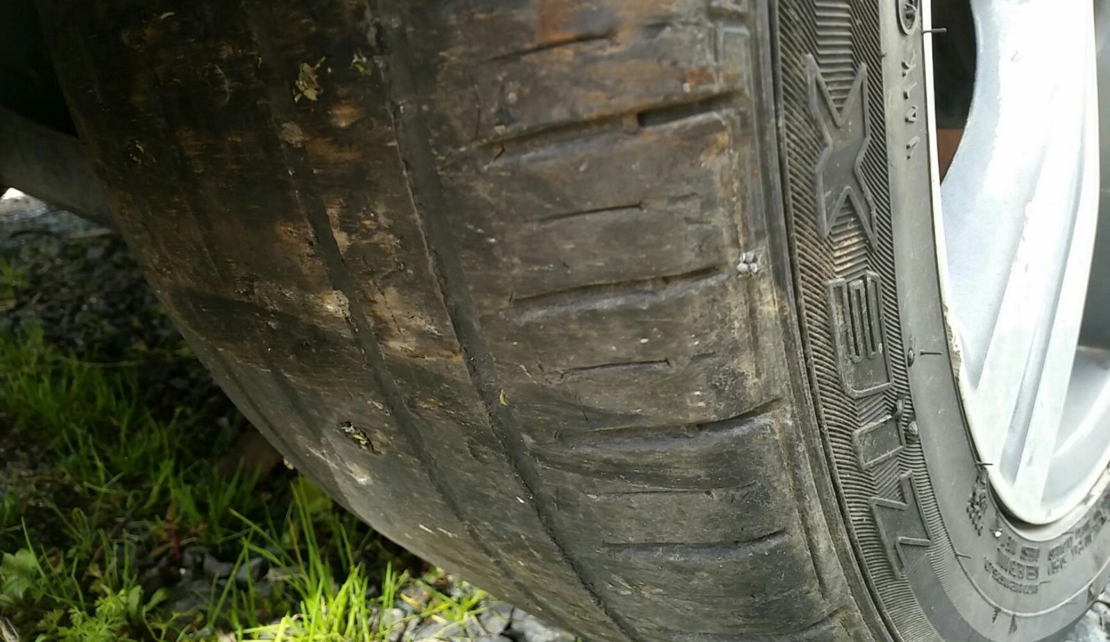 Holden Commodore - VF 2013-Present