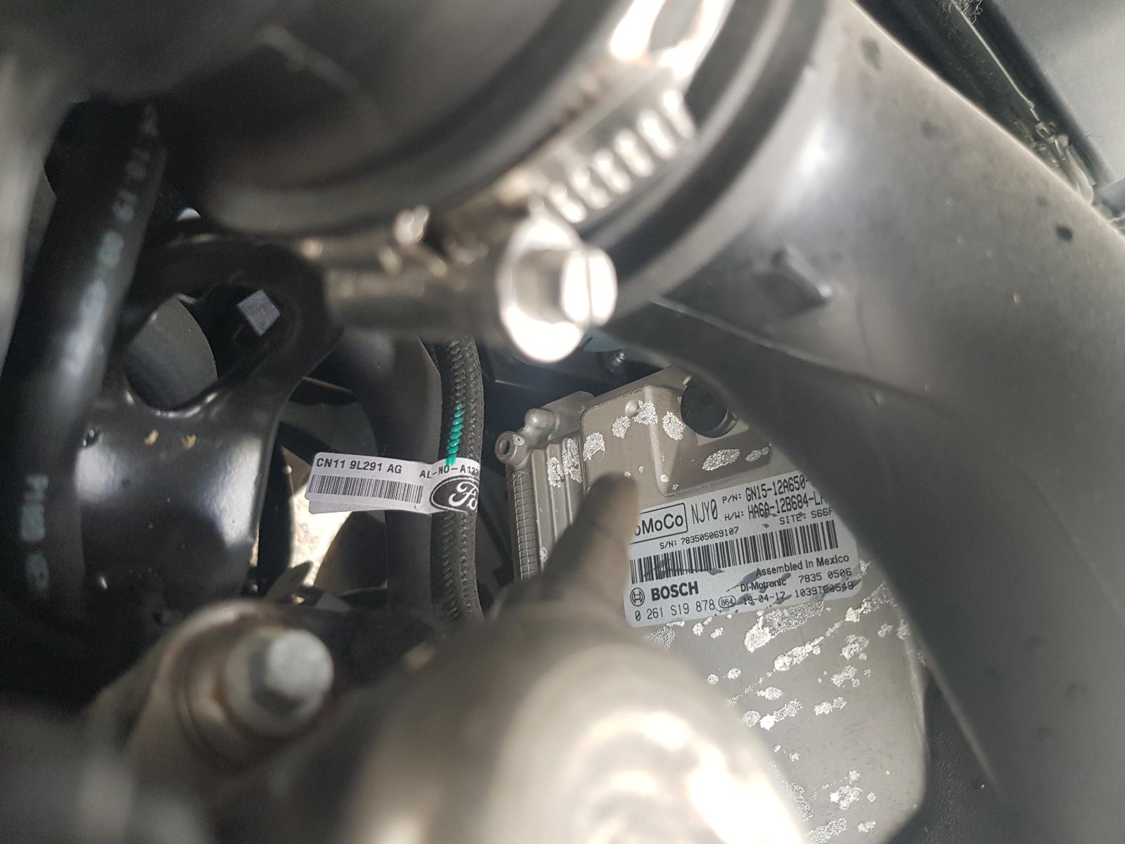 Ford EcoSport - BW 2013-present