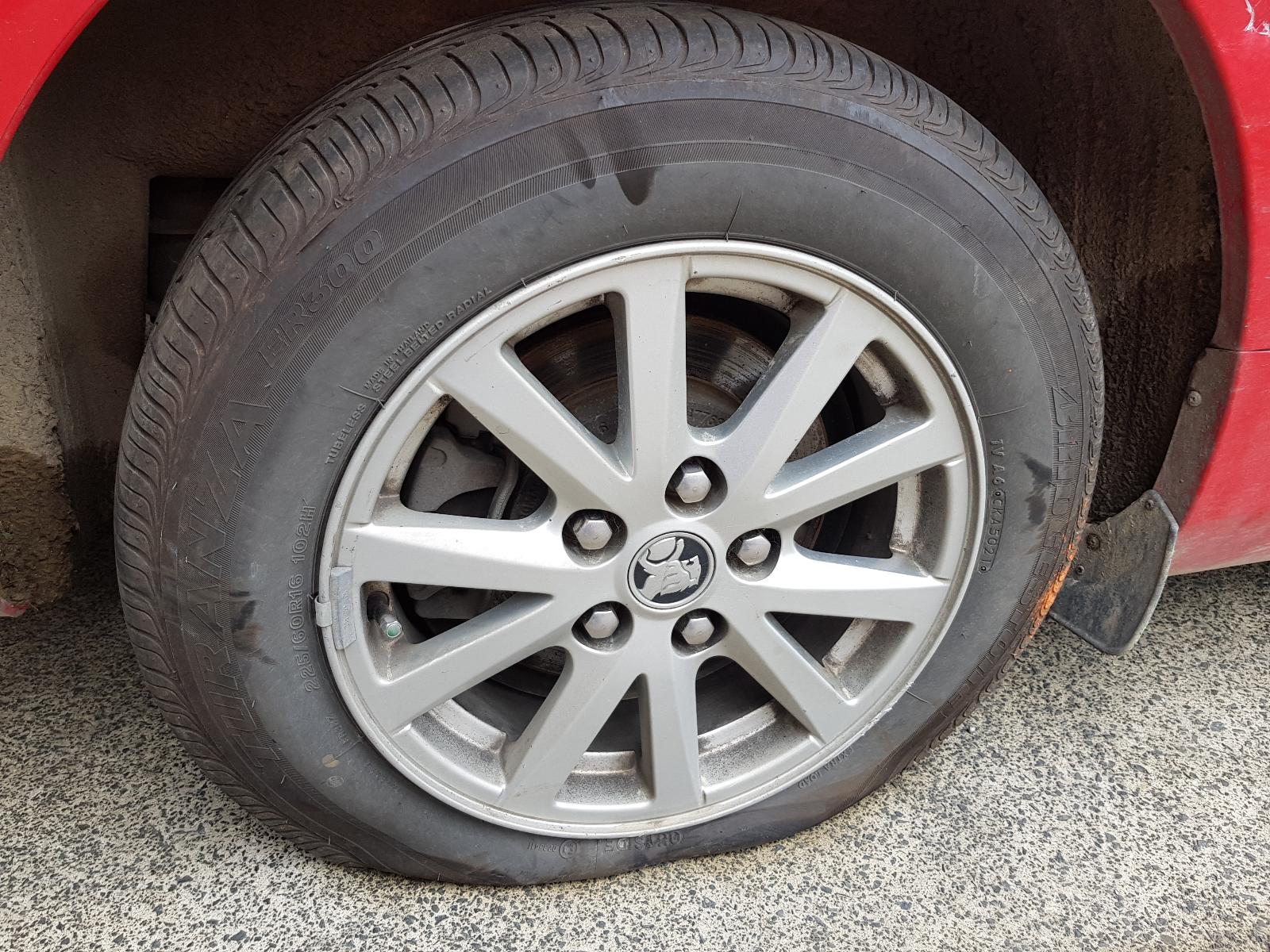 Holden Commodore - VF 2013-Present