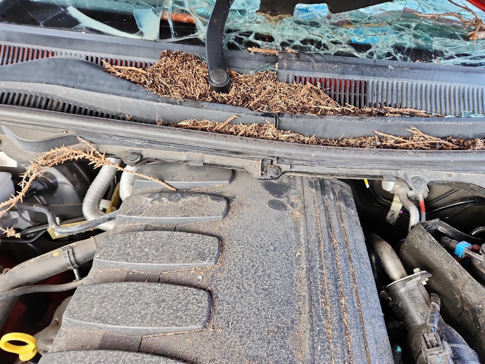 Ford Ranger - PX/PX2 2011-2017