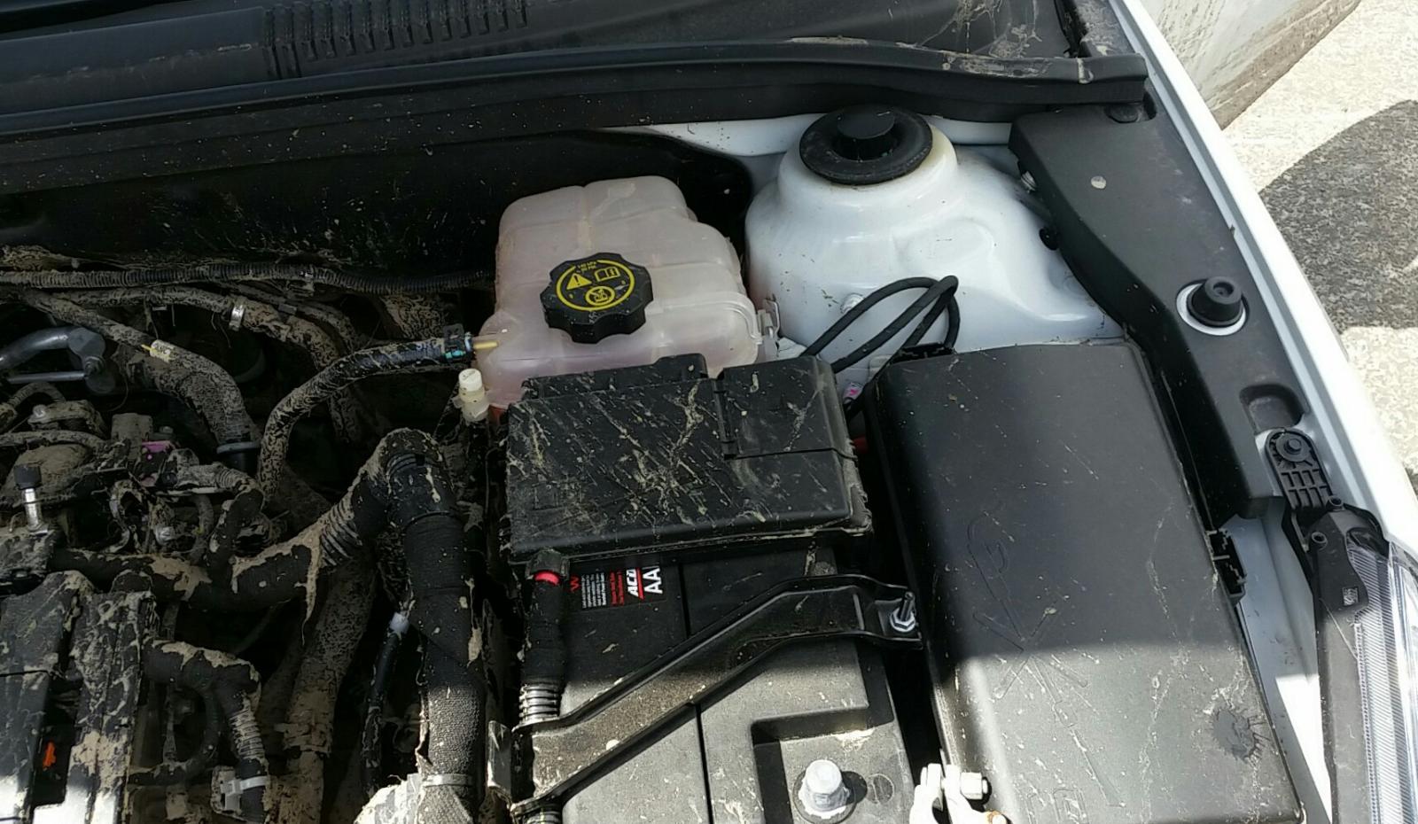 Holden Cruze - 2009-Present