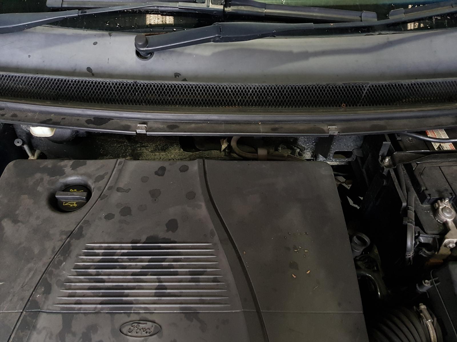 Ford Focus - LT-LV 2008-2011