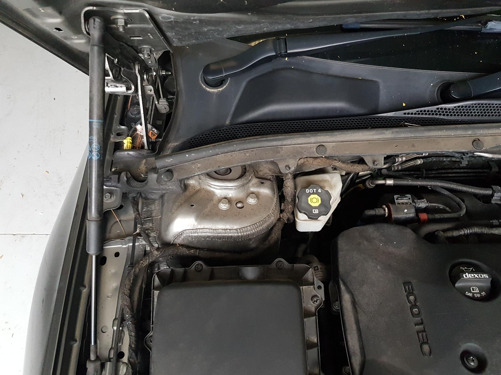 Holden Commodore - Other