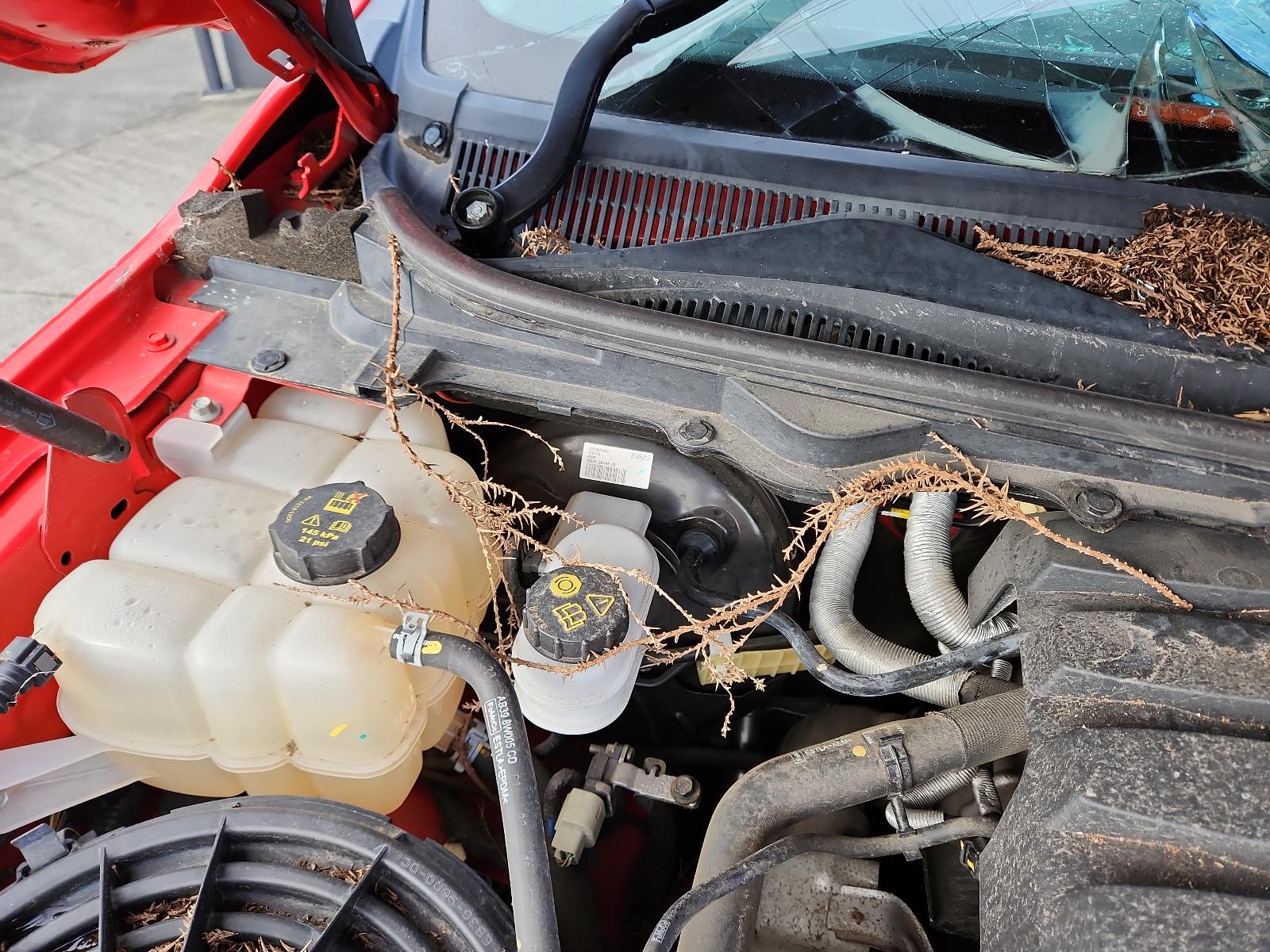 Ford Ranger - PX/PX2 2011-2017