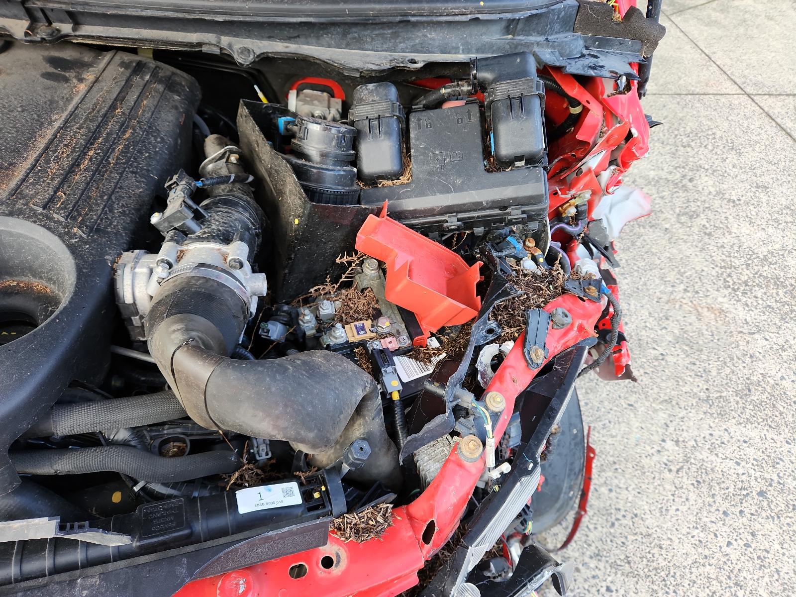 Ford Ranger - PX/PX2 2011-2017