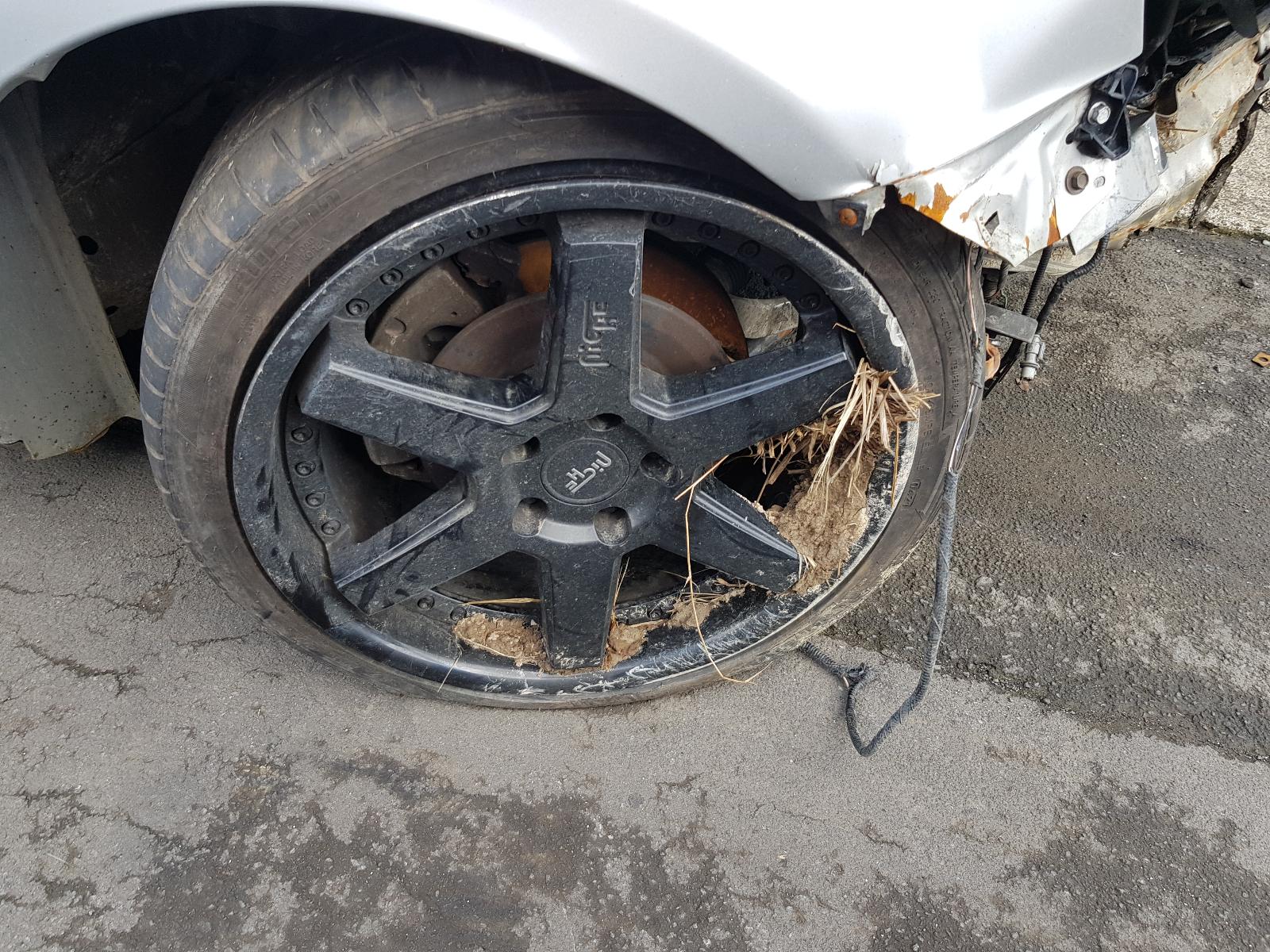 Ford Falcon - FG-FGX 2008-2016