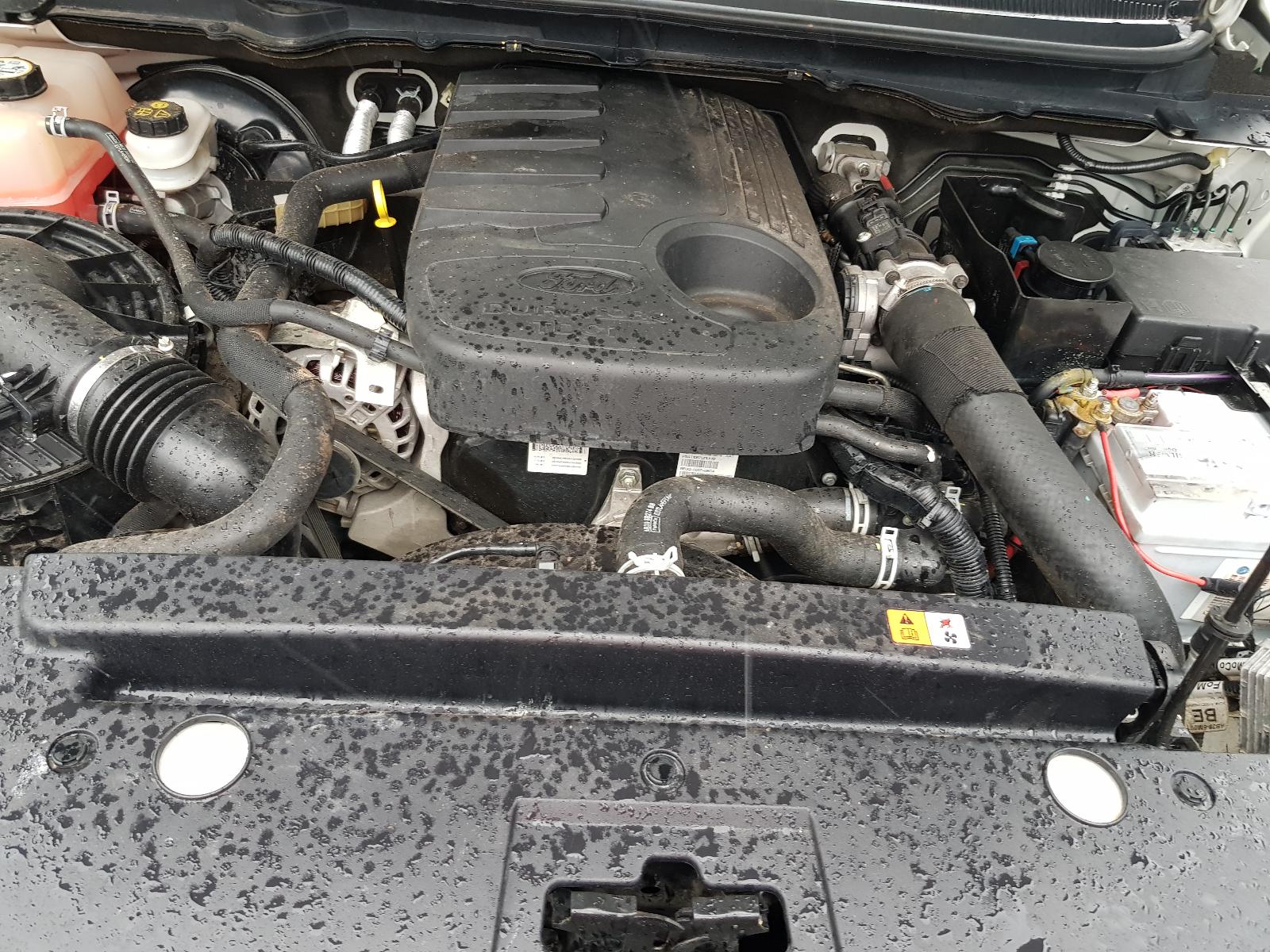 Ford Ranger - PX/PX2 2011-2017