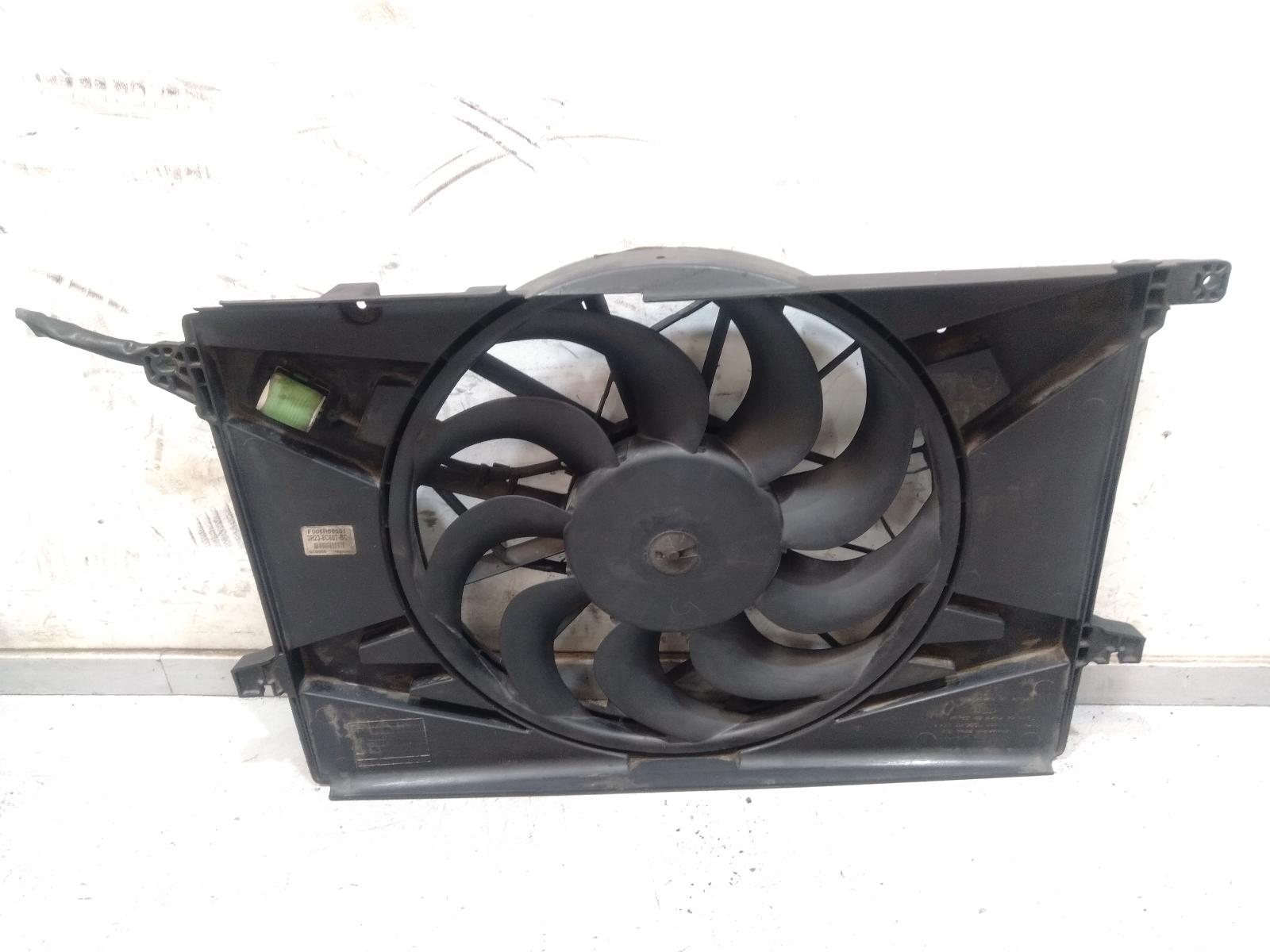 Fan