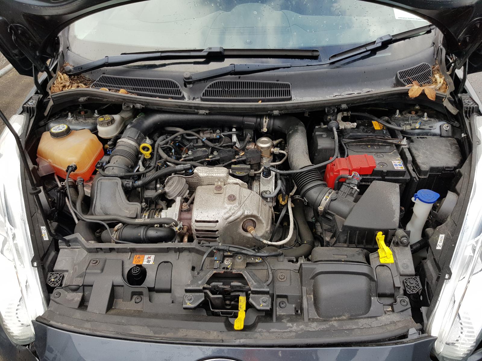 Ford Fiesta - WZ 2013-Present