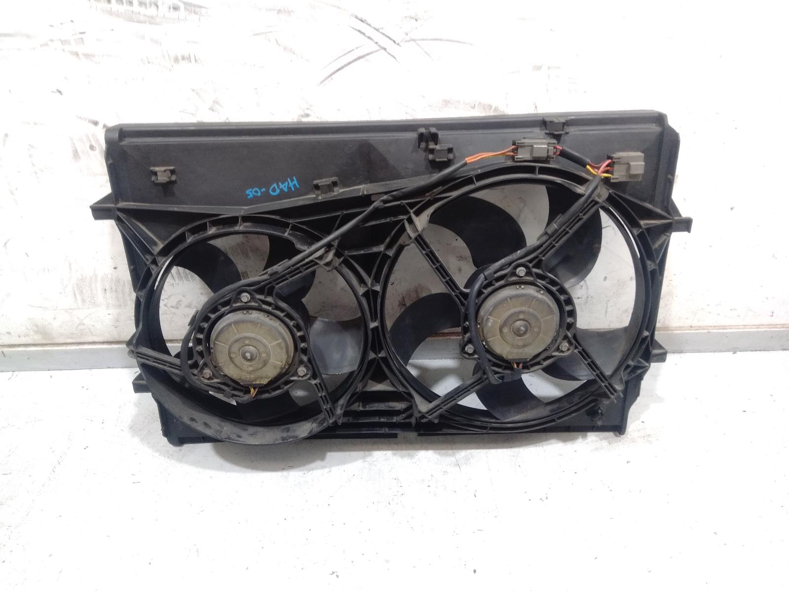 Fan