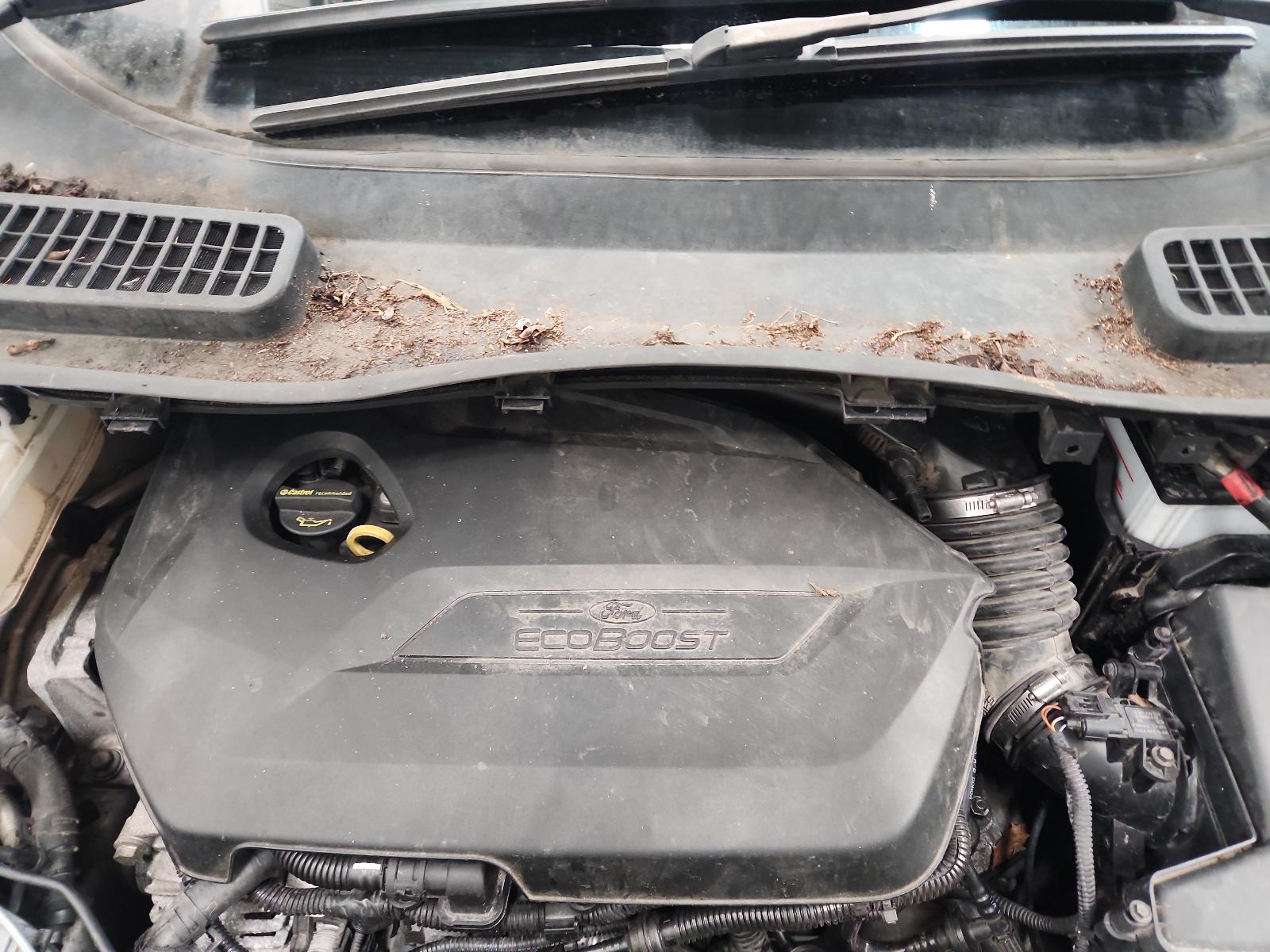 Ford Kuga - TF 2013-Present