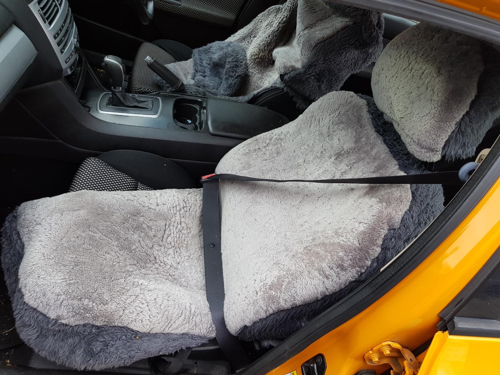 Ford Falcon - FG-FGX 2008-2016