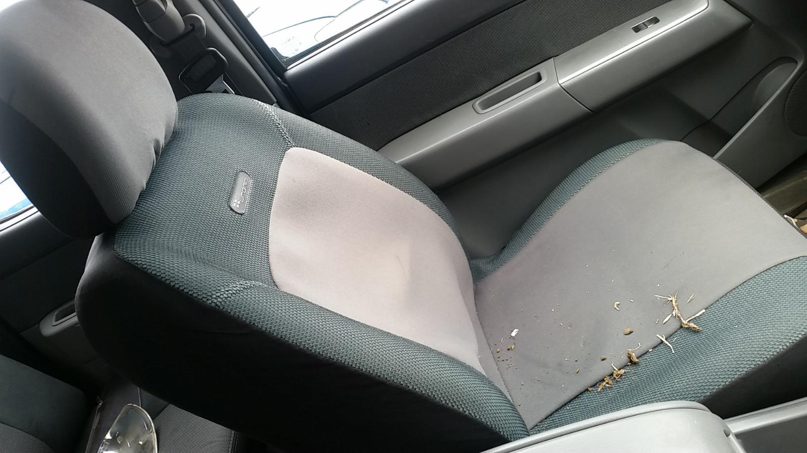 Ford Ranger - PJ 2006-2009