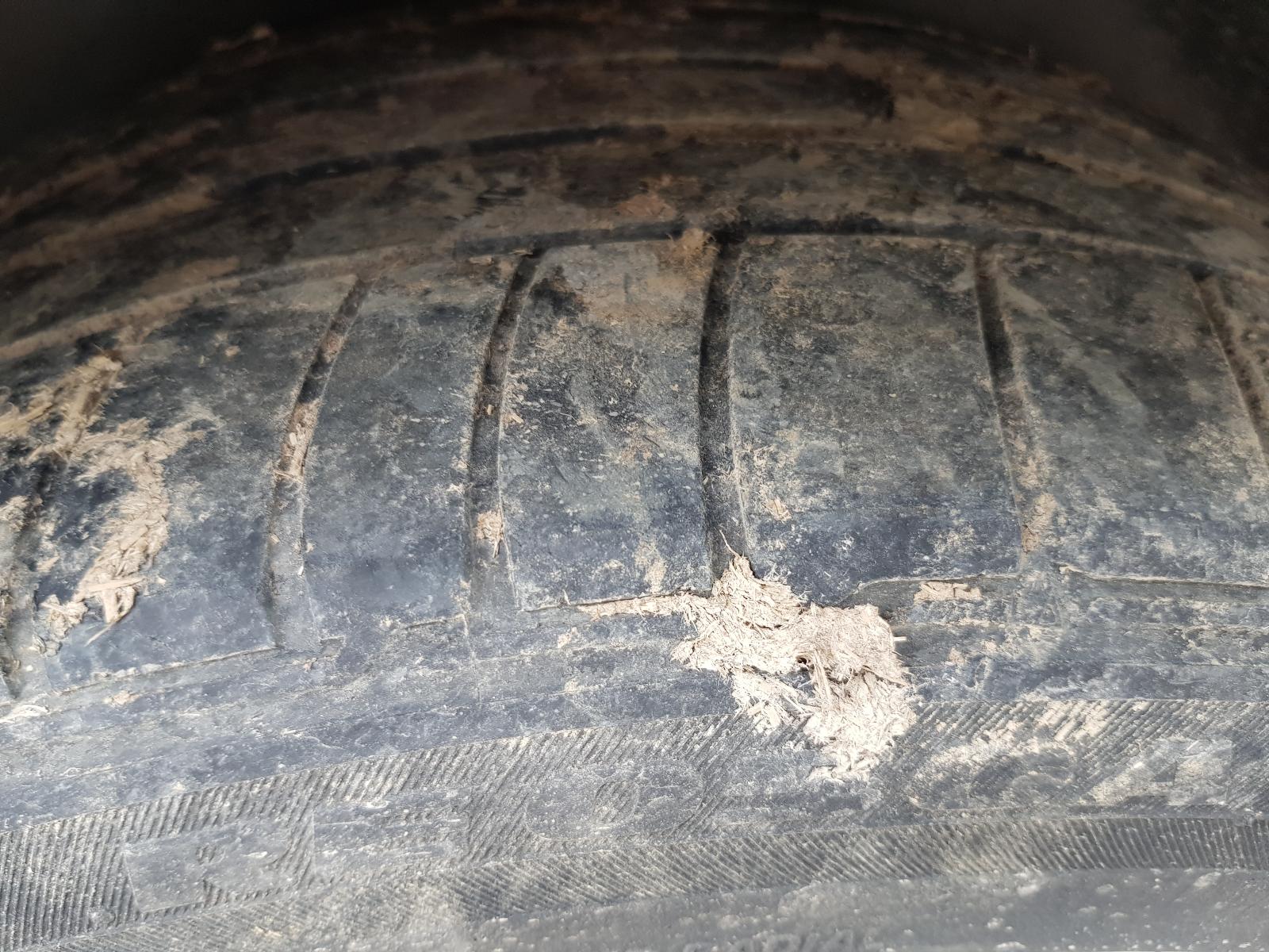 Holden Commodore - VF 2013-Present