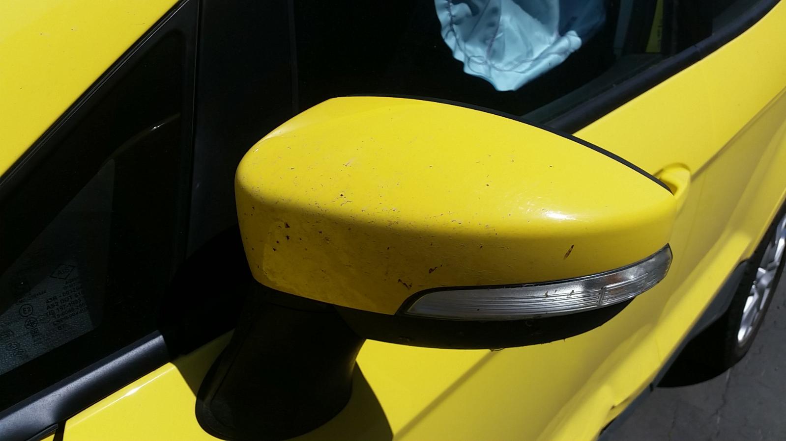 Ford EcoSport - BW 2013-present