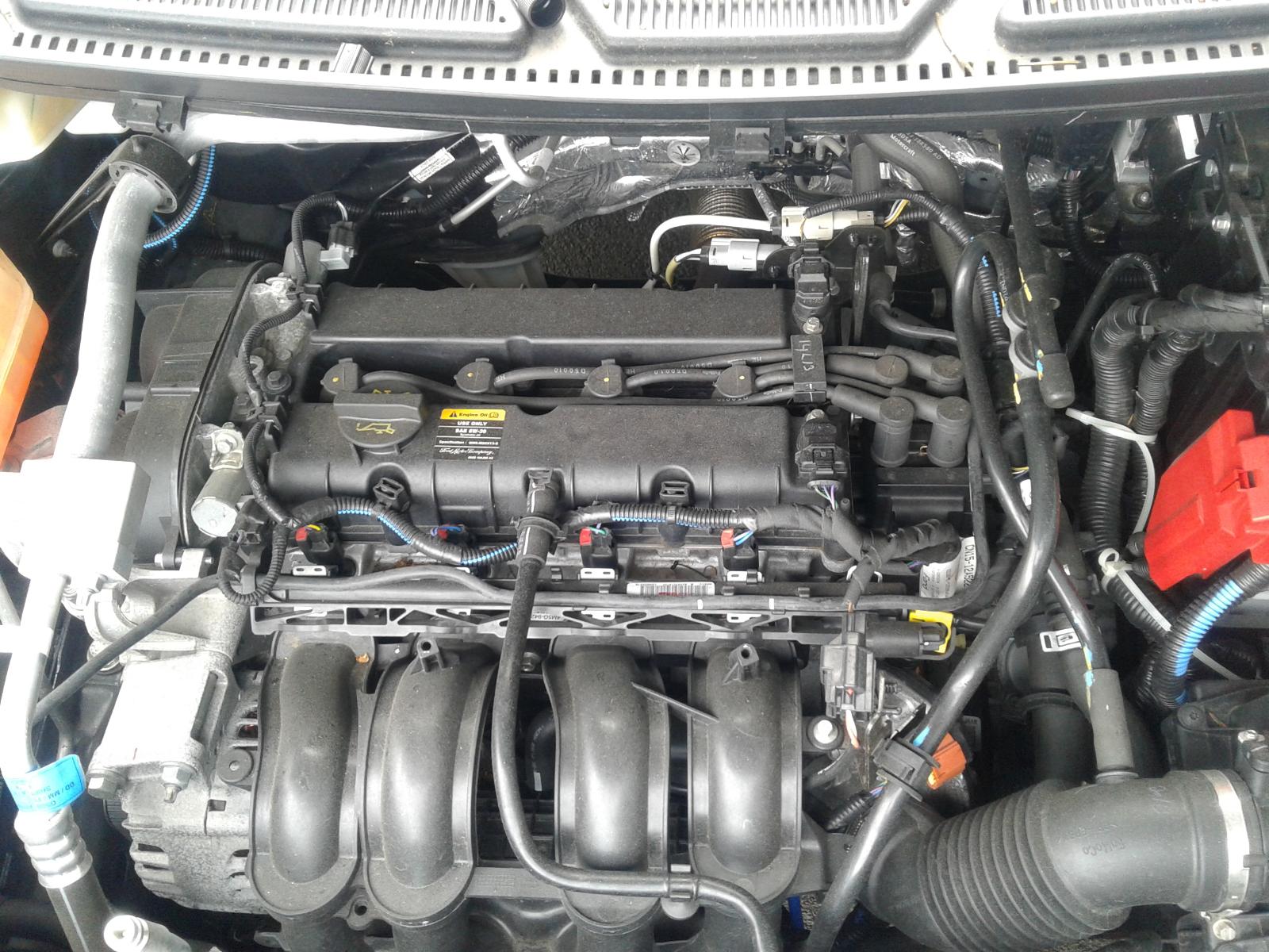 Ford EcoSport - BW 2013-present