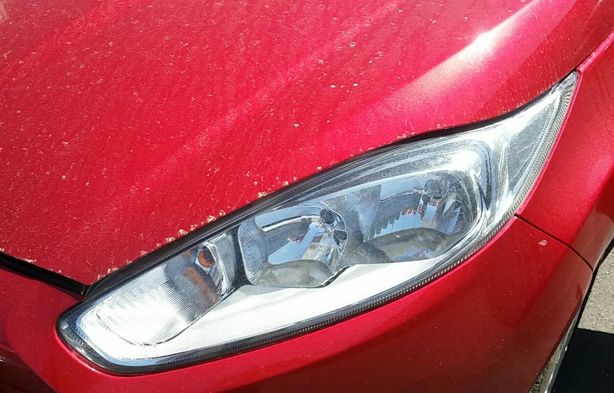 Ford Fiesta - MK VI 2008-Present