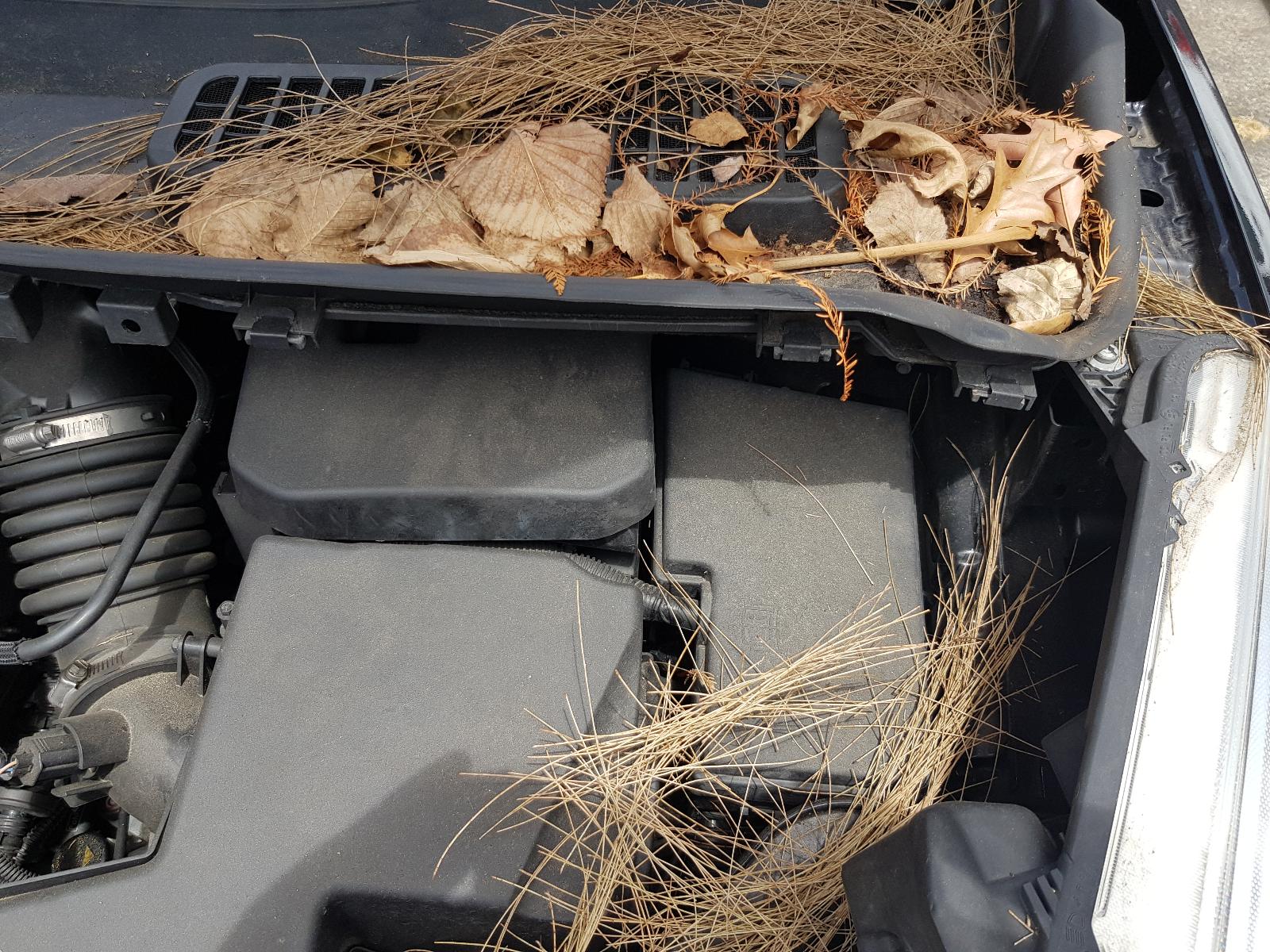 Ford Kuga - TF 2013-Present