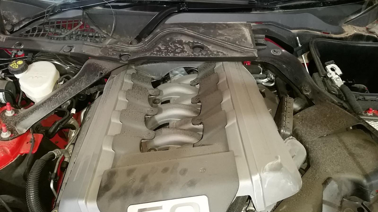 Ford Mustang - All series