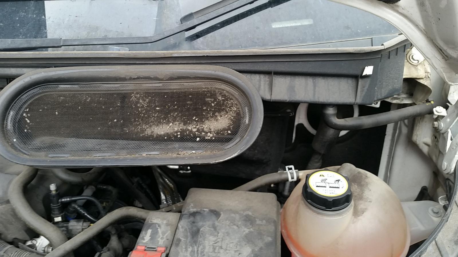 Ford Transit - Other